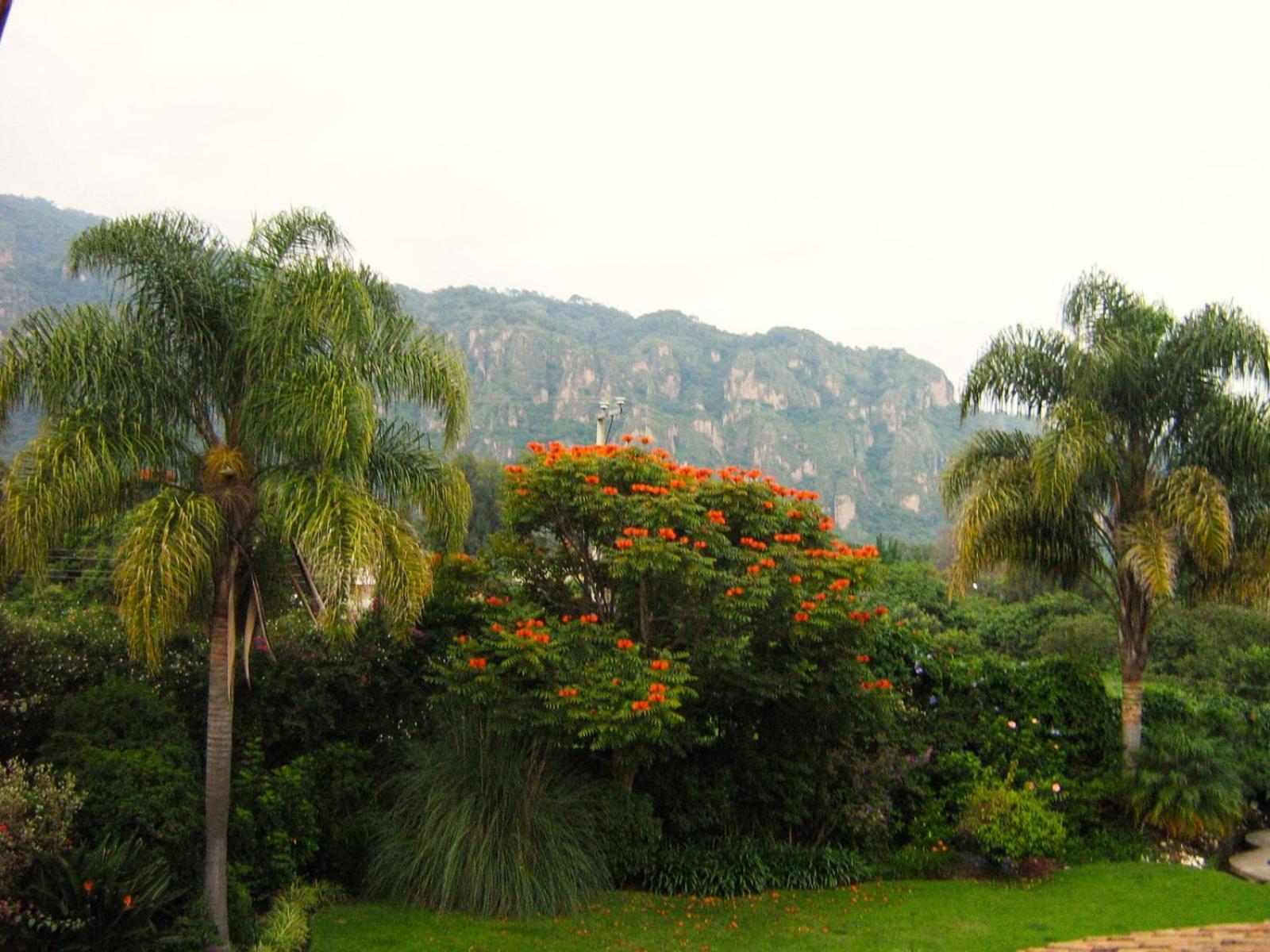 Arete (Adults Only) Hotel Tepoztlan Luaran gambar