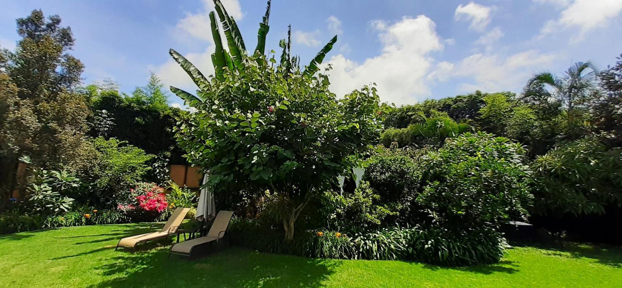 Arete (Adults Only) Hotel Tepoztlan Luaran gambar